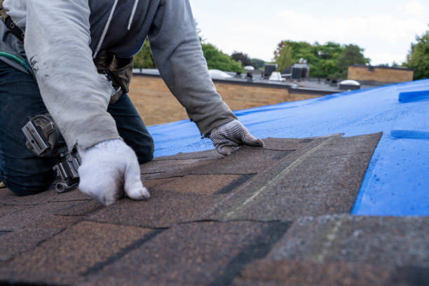 Best Metal Roofing Contractor  in Point Baker, FL